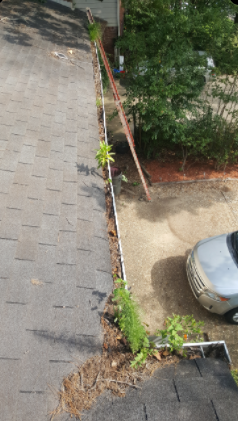 gutter cleaning