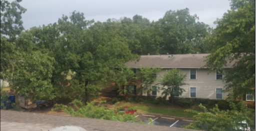 gutter cleaning