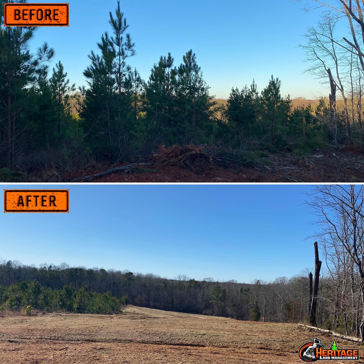 Comparison: Before and after of a cleared woodland area. Top: trees, shrubs, and brush. Bottom: the same area, now cleared.