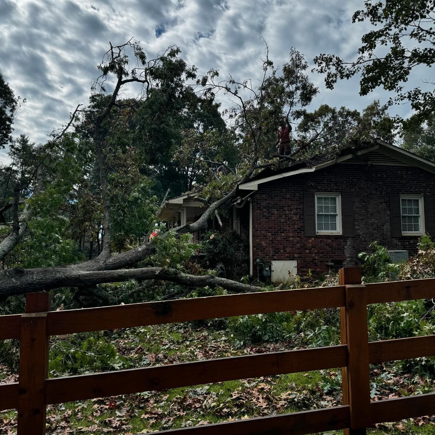 Large tree limb on a brick house roof with a person on the roof; wooden fence in the foreground.