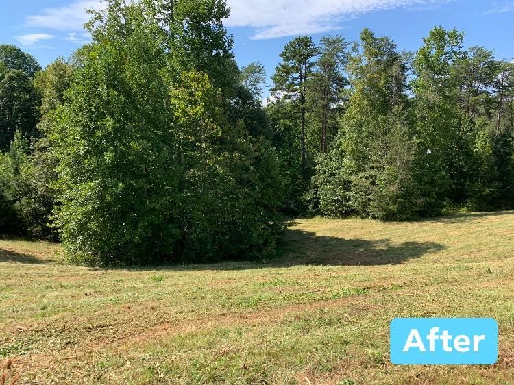 Mowed field with trees in the background under a blue sky.