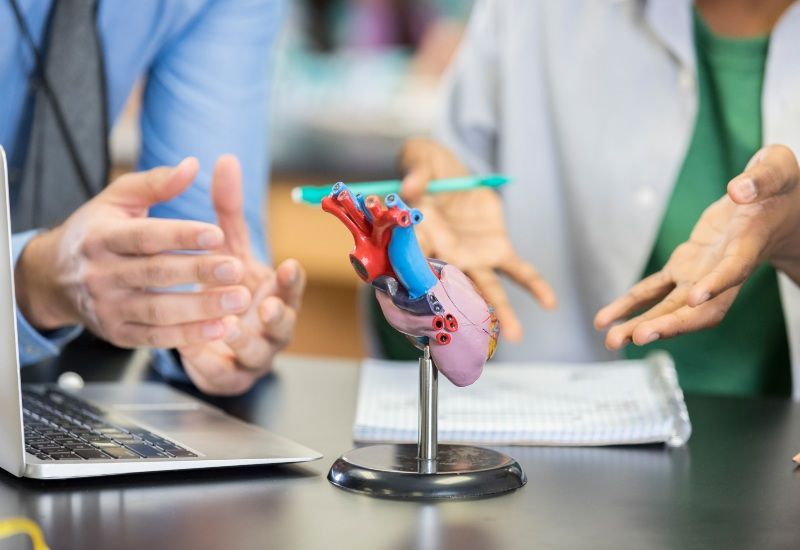 Hands gesturing around a laptop beside a medical heart model on a desk