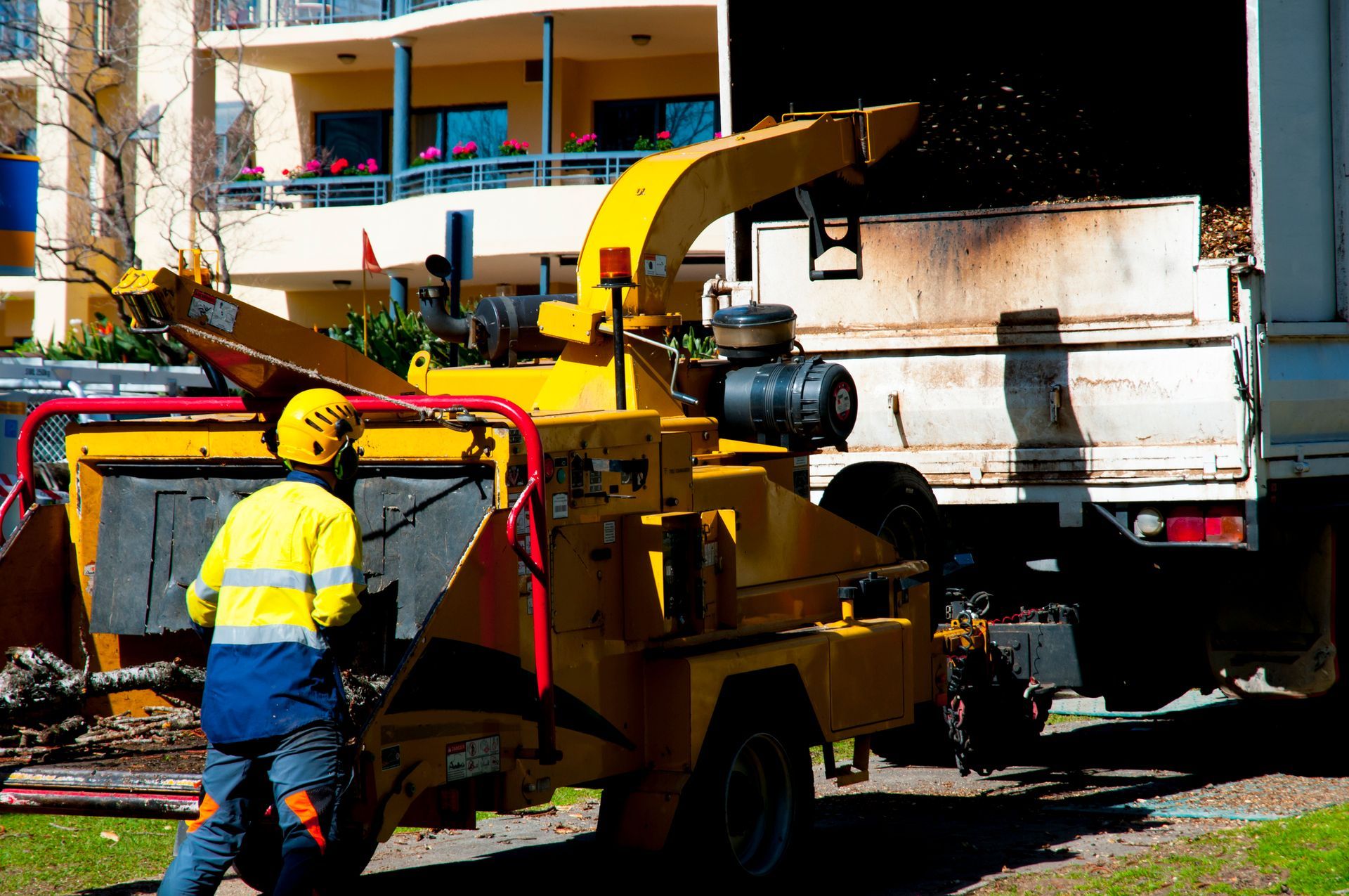 Stump Grinding And Removal — Leppington, NSW — Shane & Catherine’s Tree Service