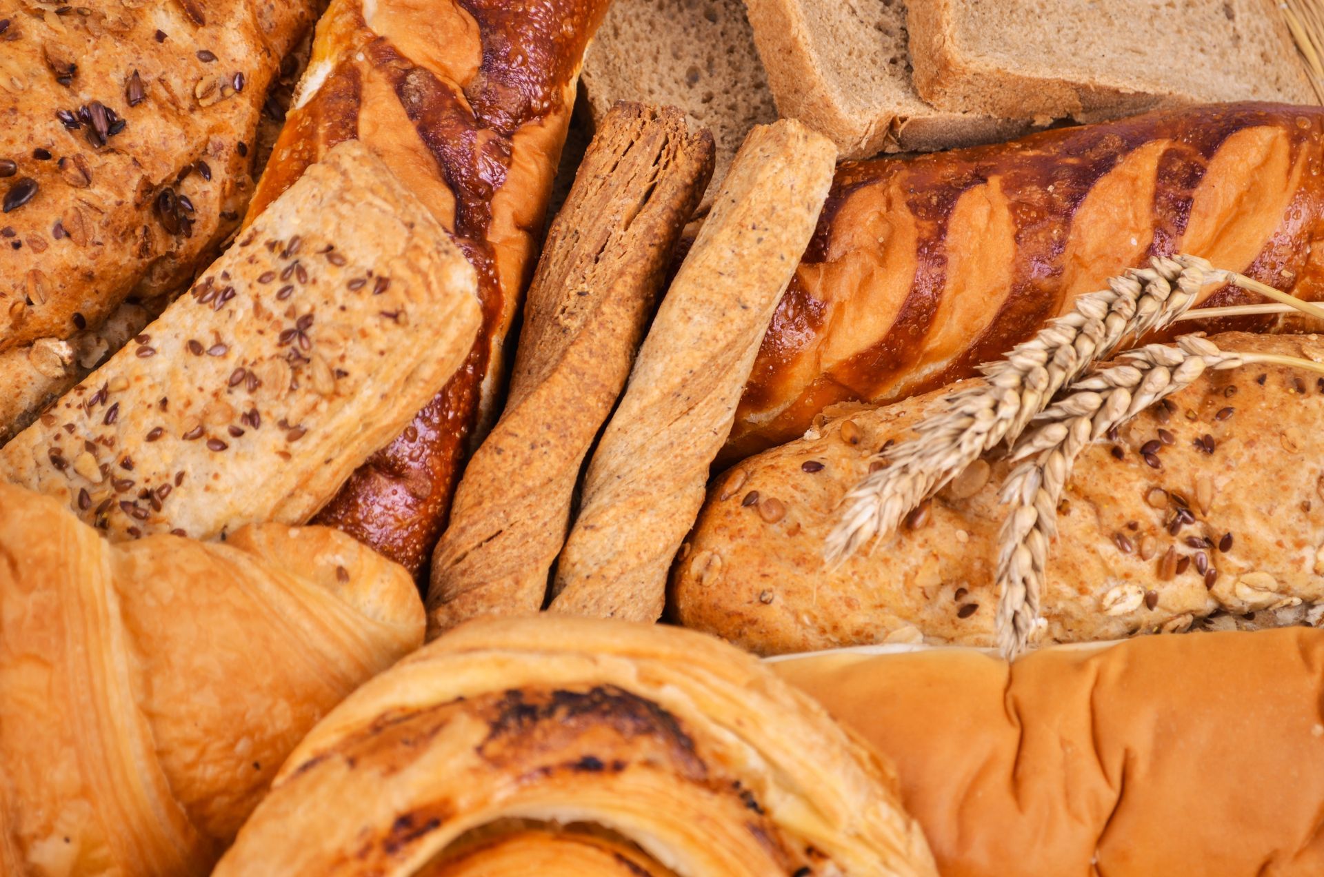 Assortimento di pane e pagnotte appena sfornati, con croste dorate e cereali, esposti ravvicinati in una vetrina di panetteria