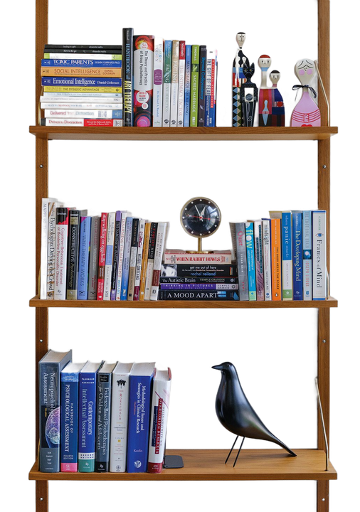Wooden bookshelf with colorful books and small figurines, including a black bird sculpture on the bottom shelf