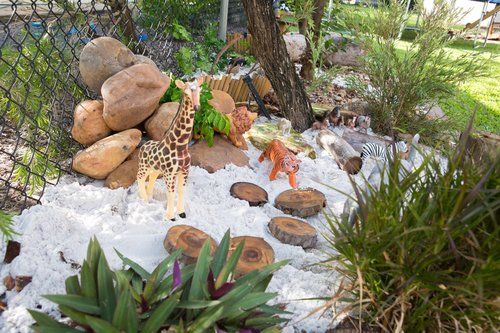 Animal Toys Outside — Darwin, NT — Territory Child Care Group