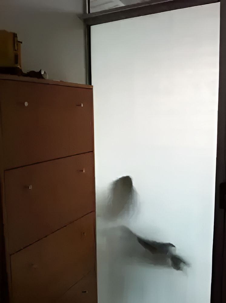 A Shadow Of A Person Is Behind A Frosted Glass Door — TSR Tinting & Frosting In Caloundra West, QLD