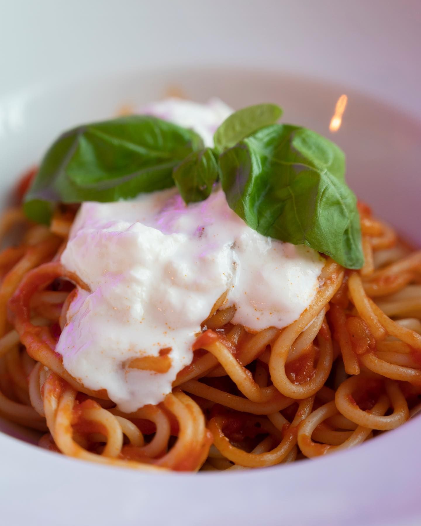 Una ciotola di spaghetti con salsa e basilico sopra