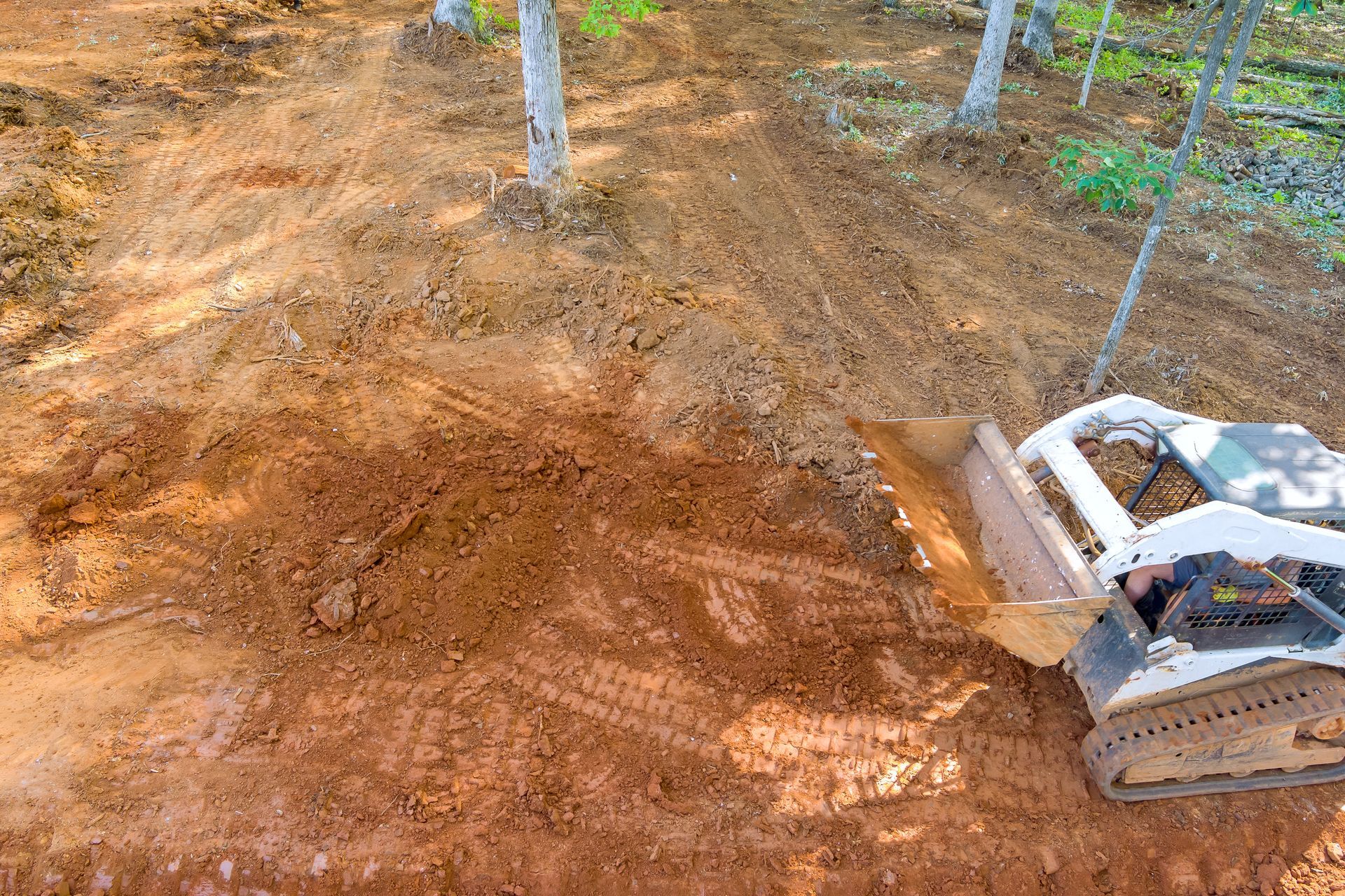 Excavator leveling a dirt path in a wooded area with fresh earth and tree trunks nearby