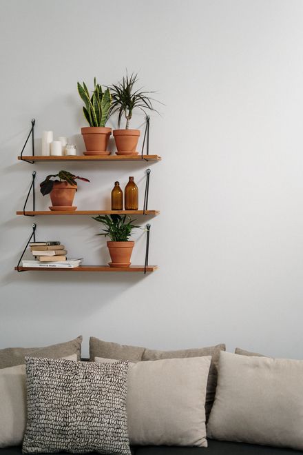 White wall with floating shelves holding potted plants, books, and bottles above a beige sofa with textured pillows