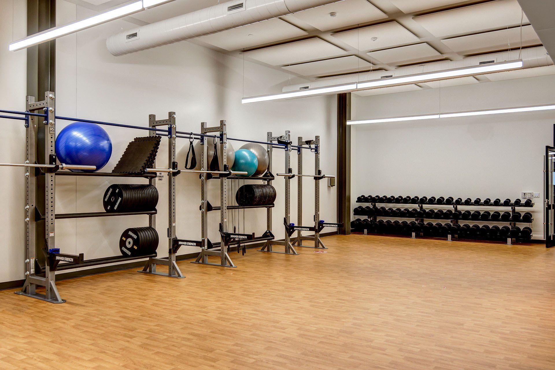 There are many exercise balls and dumbbells in the room.