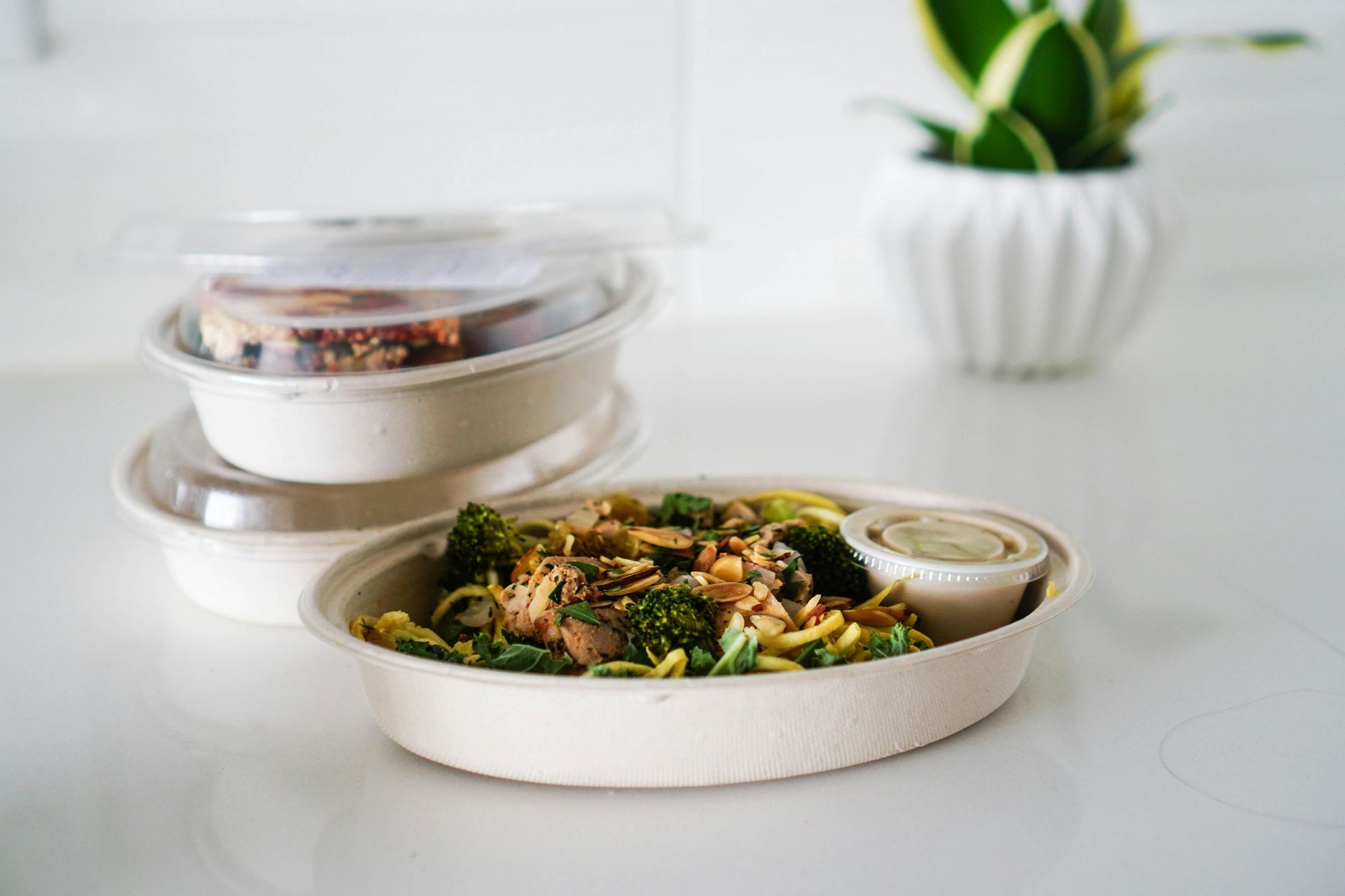 Takeout salad in eco containers on a white table with a small plant in the background
