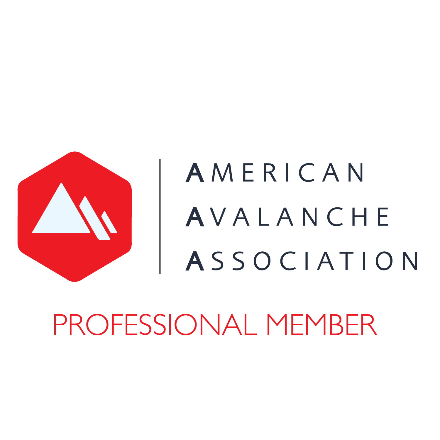 Logo of the American Avalanche Association with a red hexagon, mountain icon, and