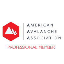 Logo of the American Avalanche Association with a red hexagon, mountain icon, and 