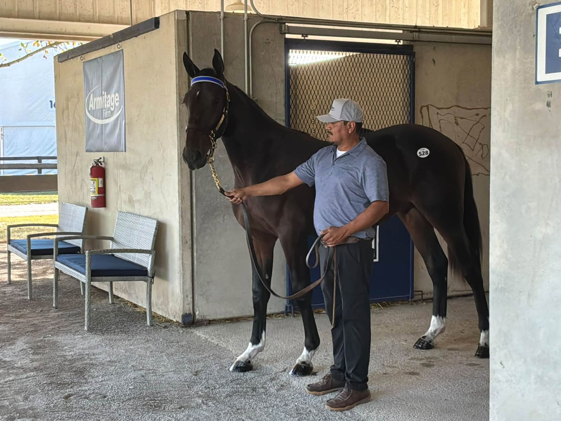 Armitage Farm at the Lexington Selected Yearling Sale