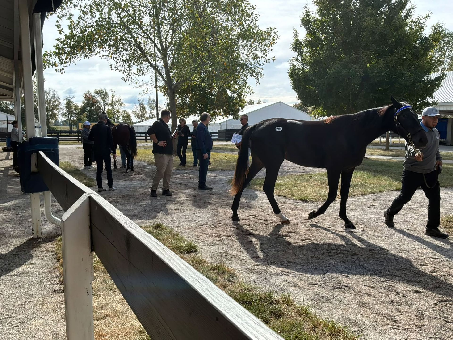 Armitage Farm Lexington sale