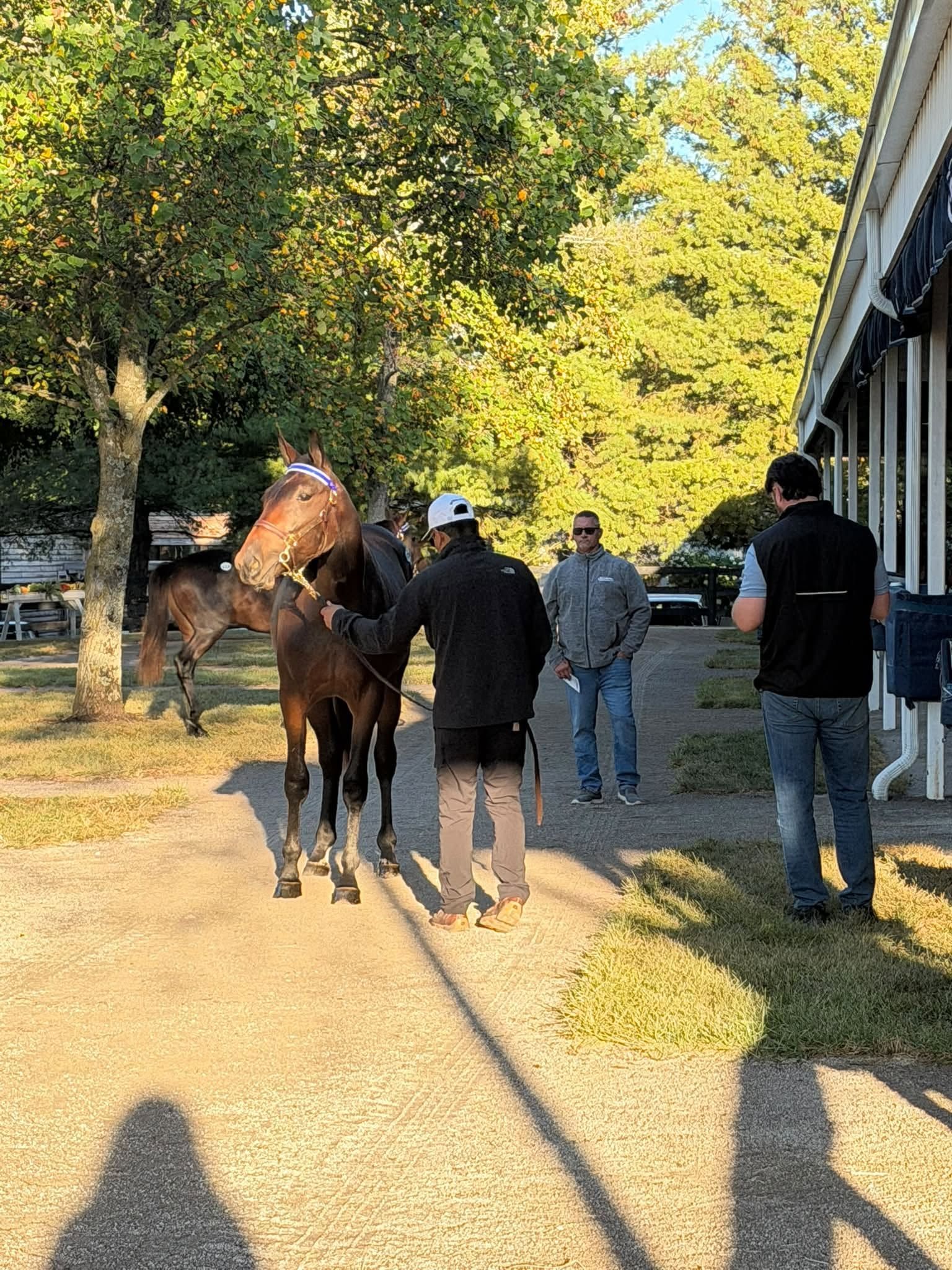 Armitage Farm Lexington