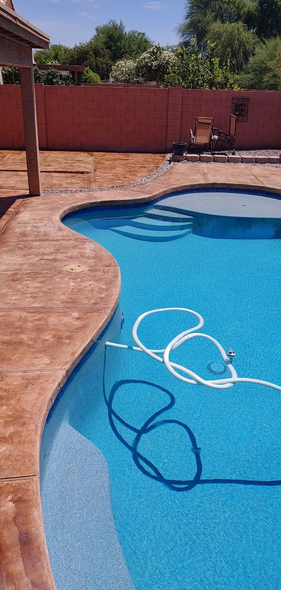 A backyard swimming pool with blue water. A white hose is in the pool. Brown concrete surrounds the pool.