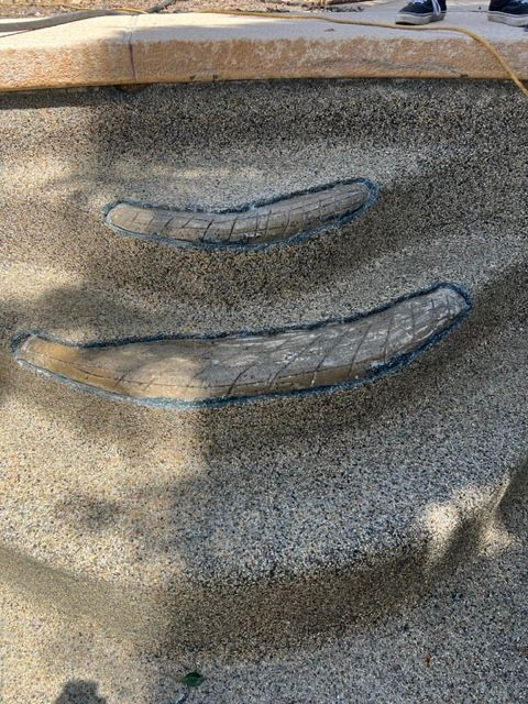 Two curved steps embedded in rough, gray concrete.