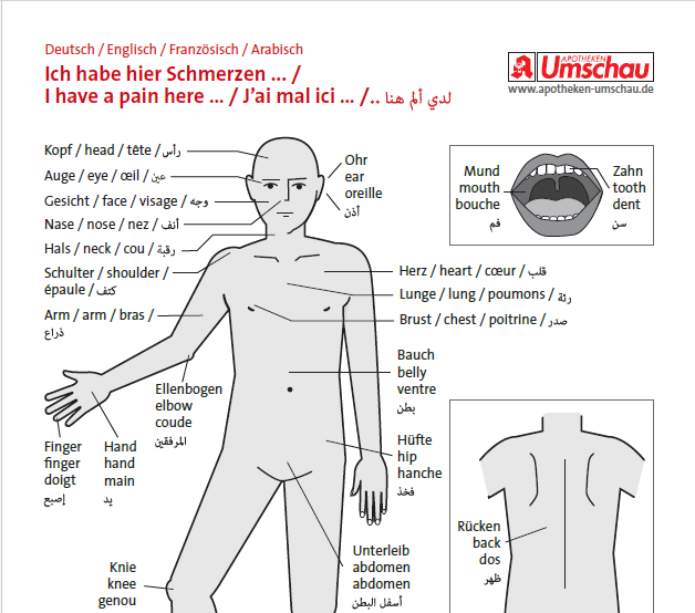 Bilderwörterbuch in den Sprachen: Deutsch, Englisch, Französisch und Arabisch.