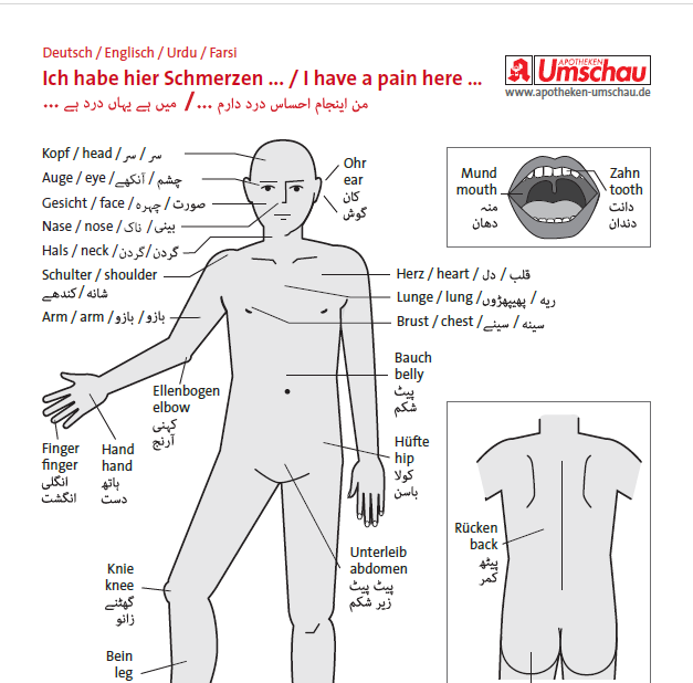 Bilderwörterbuch in den Sprachen: Deutsch, Englisch, Urdu und Farsi.
