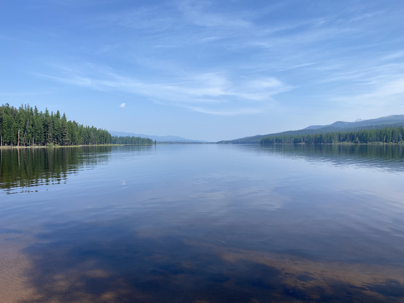 A large body of water with trees on the shore and mountains in the background.