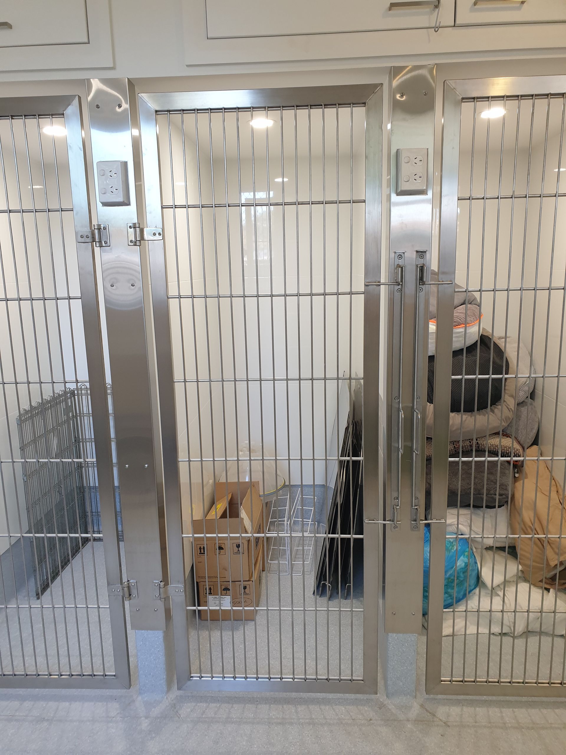A dog is sitting in a cage with a box on the floor