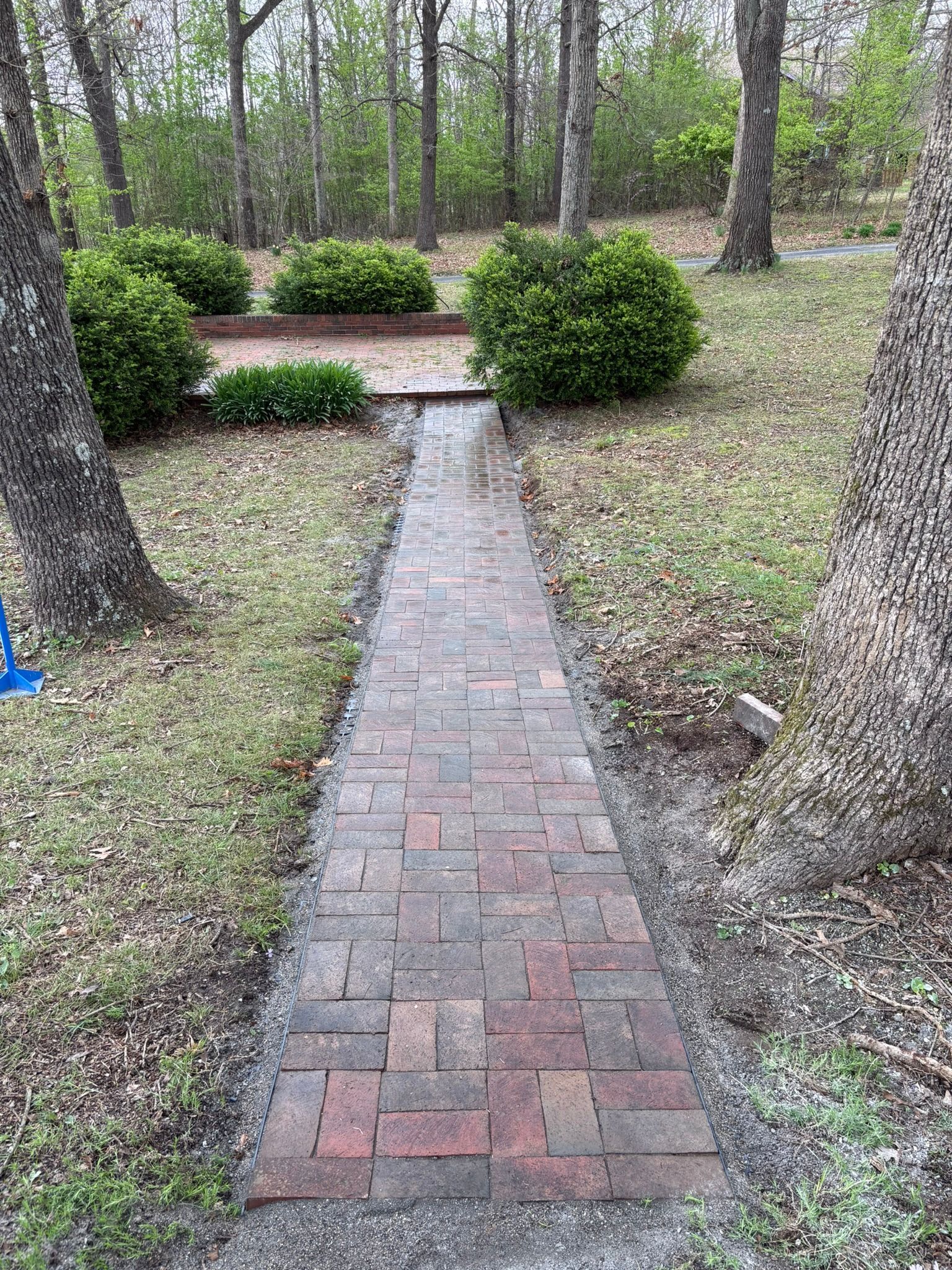Brick garden walkway between bushes and trees in a wooded yard