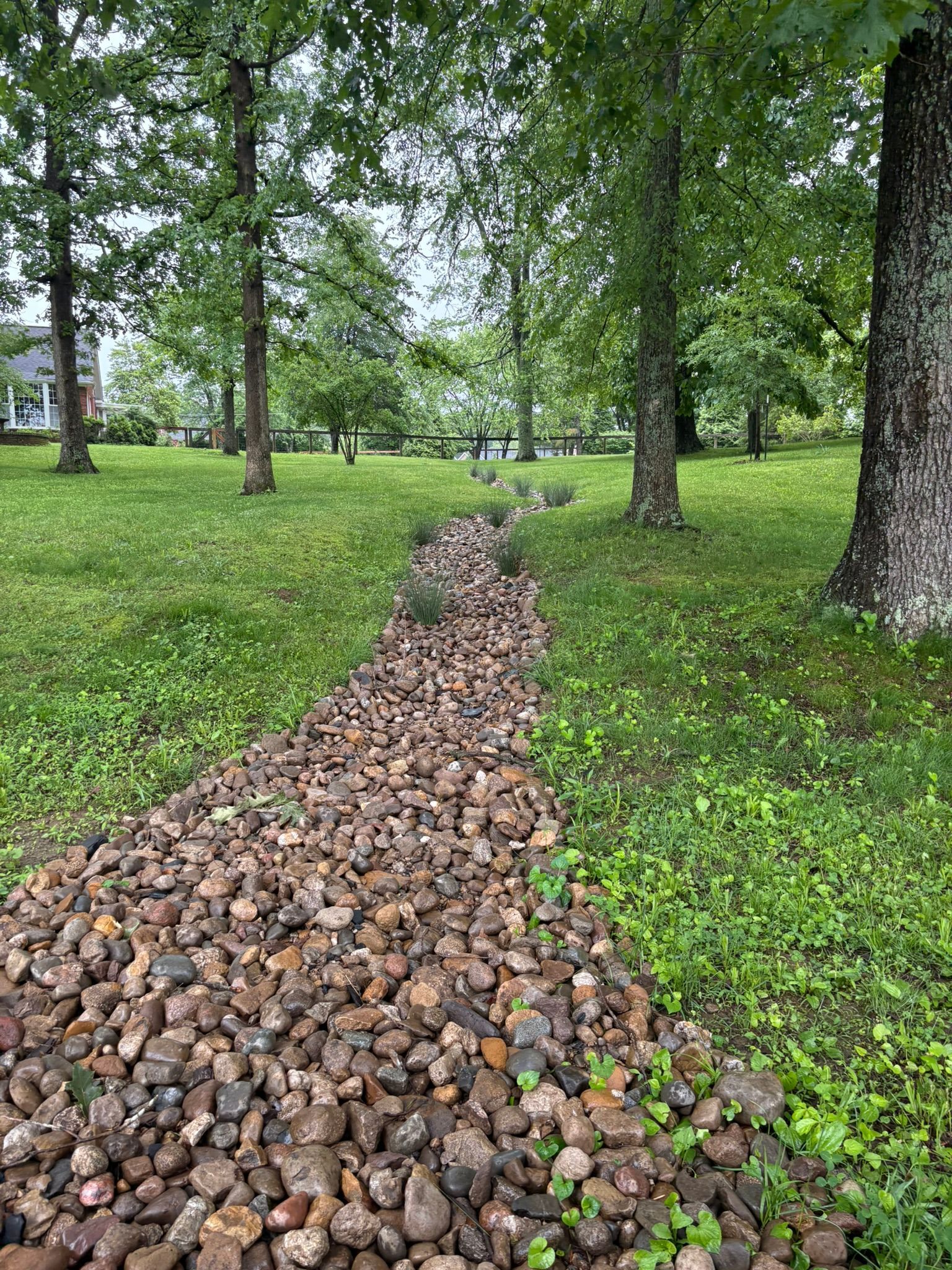 Rock-lined path through a green park with trees and grass after rain
