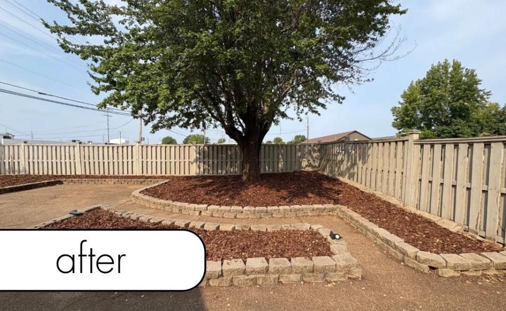 Backyard yard with a large tree, brick-bordered beds, and a wooden fence after landscaping