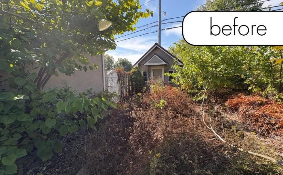 Overgrown front yard with a small house and dense bushes, labeled “before”