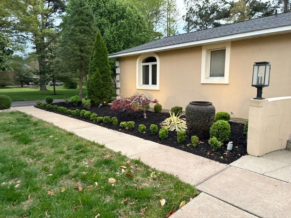Front yard landscaping with black mulch, shrubs, a decorative urn, and a beige house beside a sidewalk.