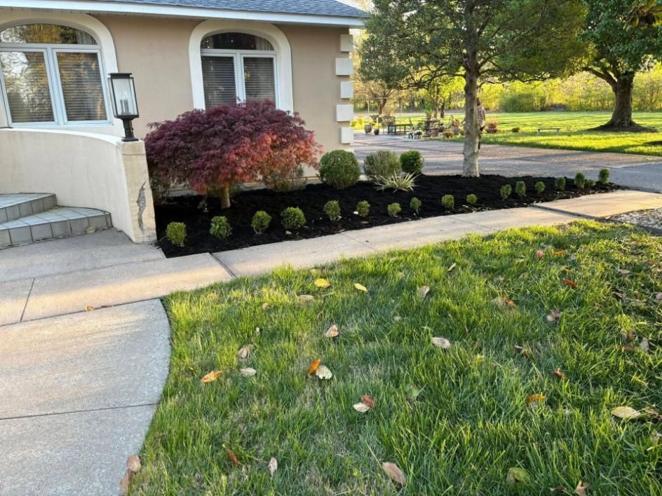 Front yard with trimmed shrubs, red bush, and a concrete walkway beside a beige house