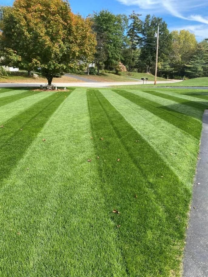 Striped green lawn beside a road with autumn trees under a blue sky