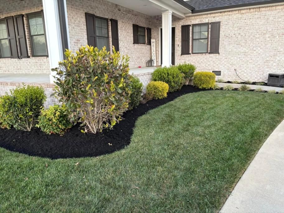 Front yard landscaping with shrubs, black mulch beds, and a concrete walkway beside a house.