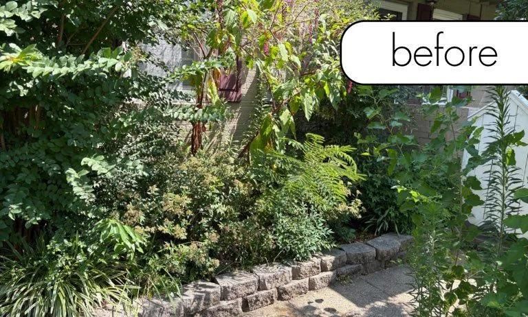 Overgrown garden path with dense green plants and a small stone border, labeled “before”