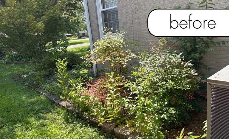 Before view of a landscaped garden bed beside a brick house, with shrubs and mulch.