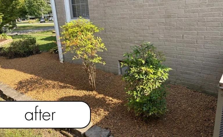 Mulched landscape bed with two shrubs beside a brick wall, labeled “after”