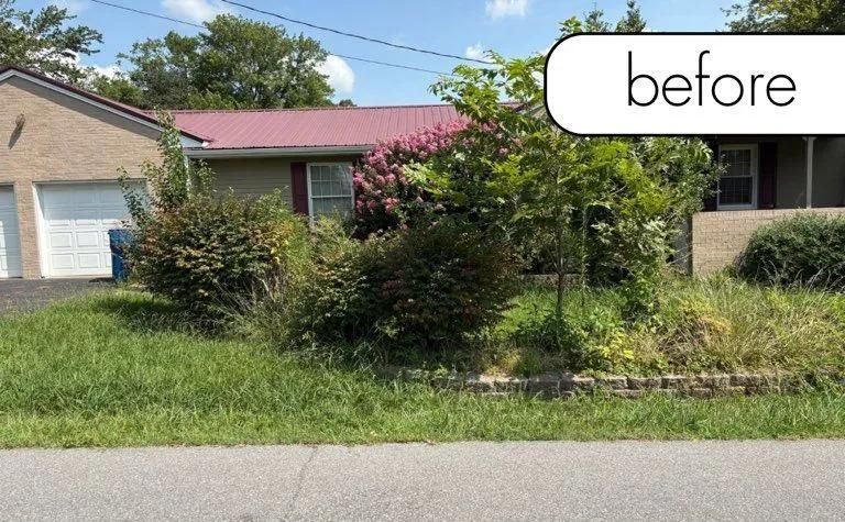 Overgrown front yard of a suburban house with shrubs and tall grass, labeled “before”