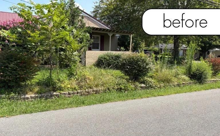 Front yard of a house with overgrown shrubs and a roadside; labeled “before”
