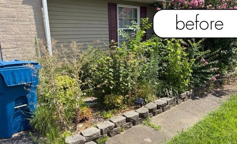 Overgrown shrubs along a house foundation beside blue trash bins, with a “before” label.