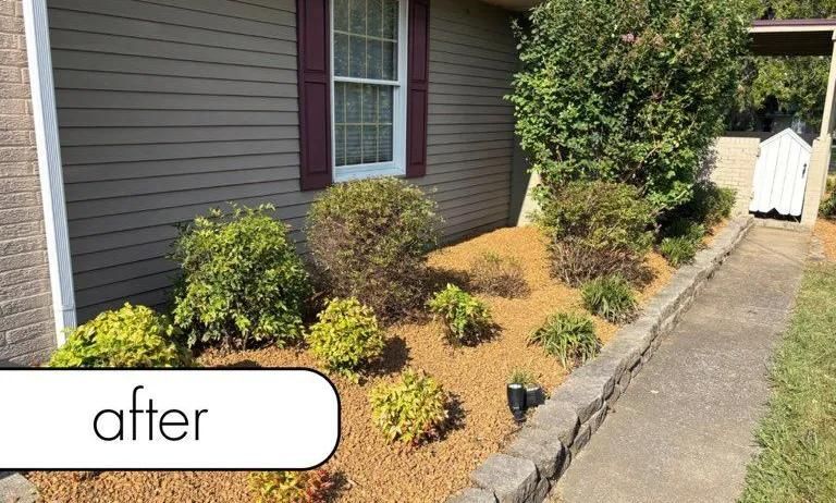 Front yard landscape after makeover with mulch, shrubs, and a walkway beside a house