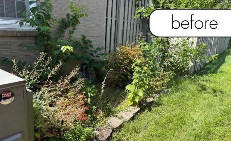 Overgrown garden bed beside a house, labeled “before,” with weeds and shrubs along a walkway.