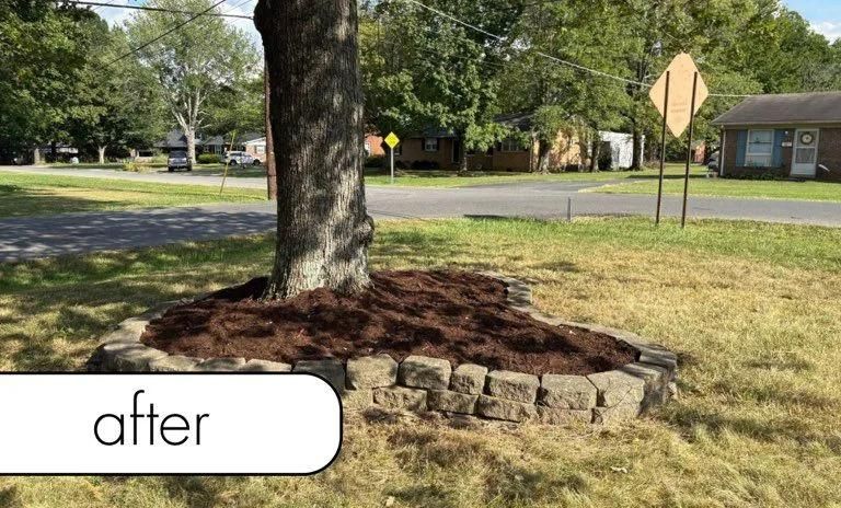 Tree with fresh mulch ringed by a low stone border in a grassy front yard near a street sign.