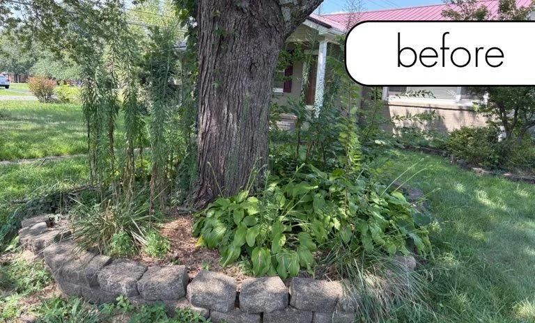 Front yard garden bed around a tree, with rocks edging and green plants, labeled “before”
