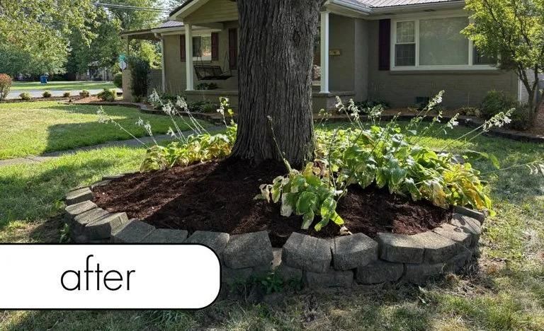 After: landscaped tree bed with stone border and hostas in front of a house