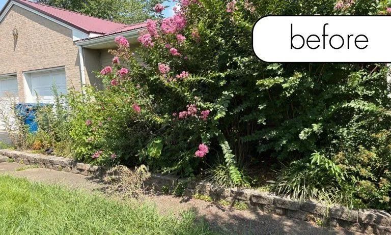Overgrown pink-flowering shrub beside a house and sidewalk, labeled “before”