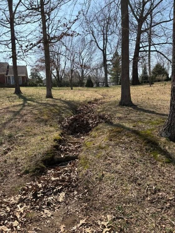 Leaf-filled gully in a grassy yard with bare trees and a house in the background