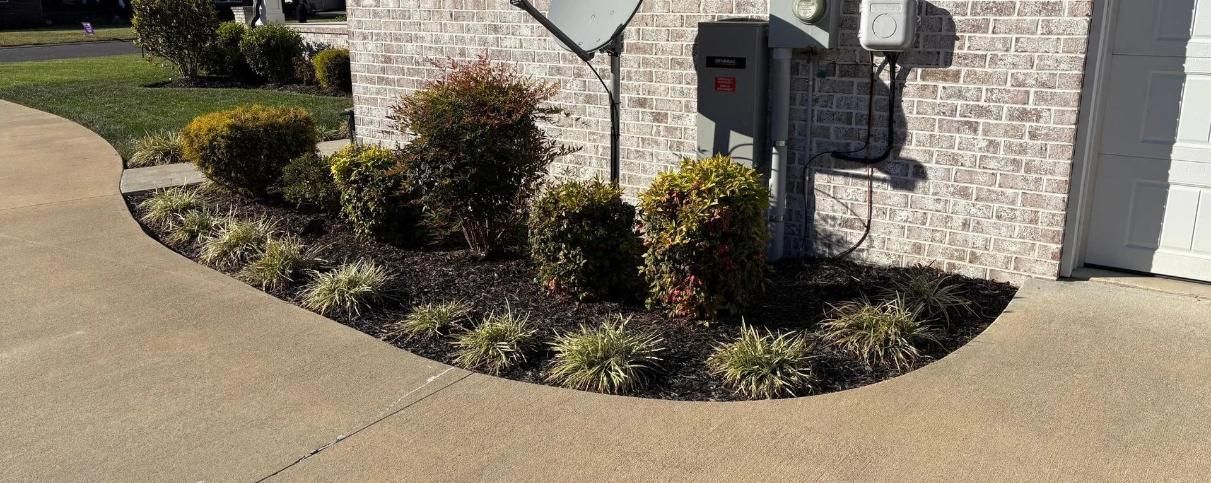 Landscaped front walkway beside a house with shrubs, a mailbox, and utility boxes.