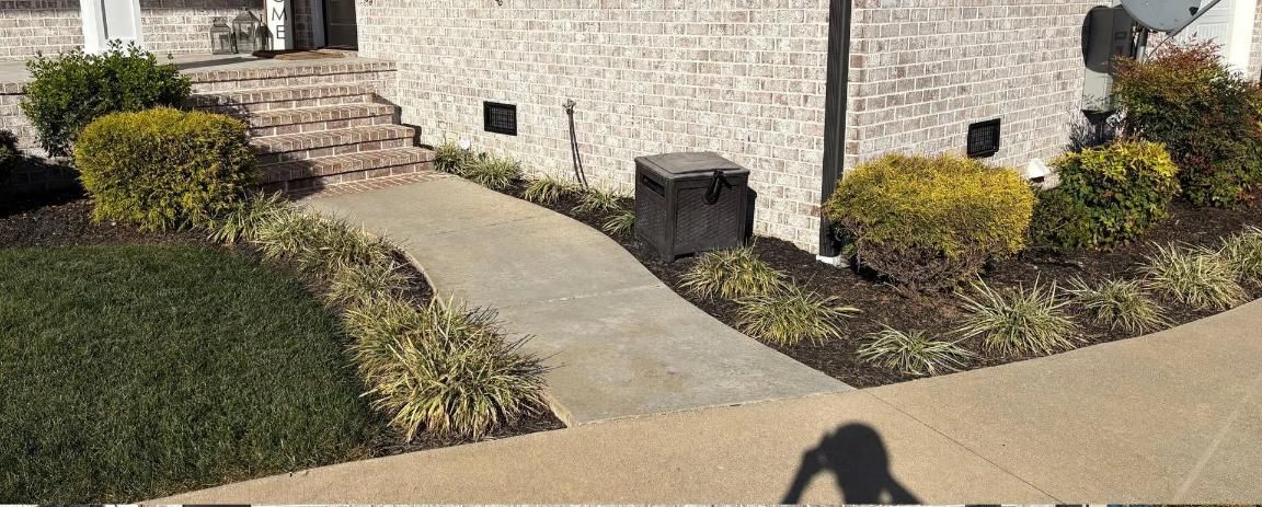 Front walkway to a brick house with landscaping, shrubs, and a driveway edge in sunlight